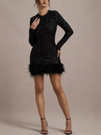 Women's Long Sleeve Mini Dress with Feather Hem Detail for Casual or Evening Wear